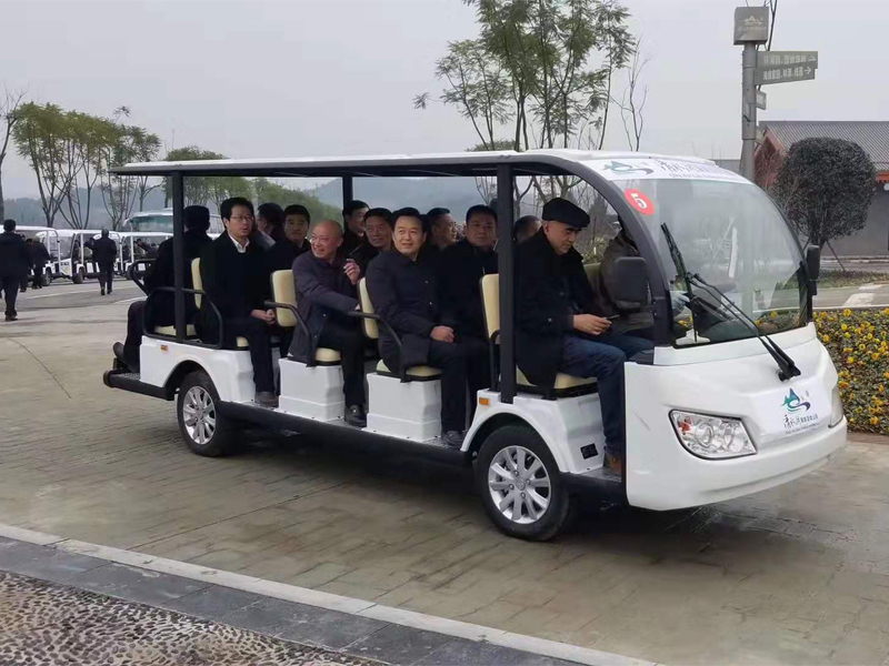 電瓶觀光車(chē)